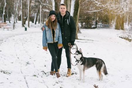 couple with huskiesの写真素材