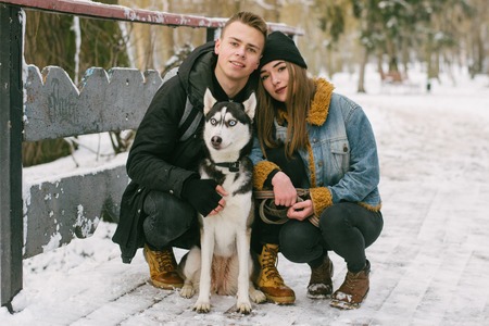 couple with huskiesの写真素材