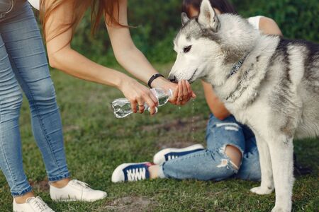 Two girls in a spring park playing with cute dogの写真素材