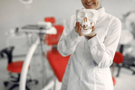 Woman in a uniform. Doctor working at the clinic. Dentist holds a skull in her handsの写真素材