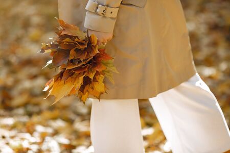 Girl in a brown coat. Woman in a autumn park. Lady with a leaf.