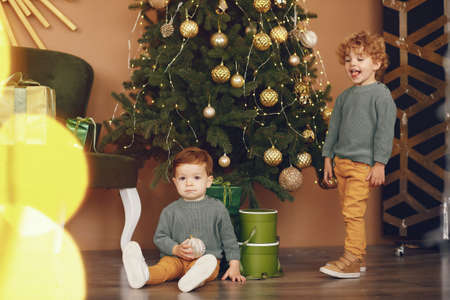 Little kids near christmas tree in a gray sweater