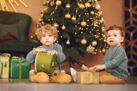 Little kids near christmas tree in a gray sweaterの写真素材