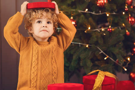 Little boy near christmas tree in a brown sweaterの写真素材