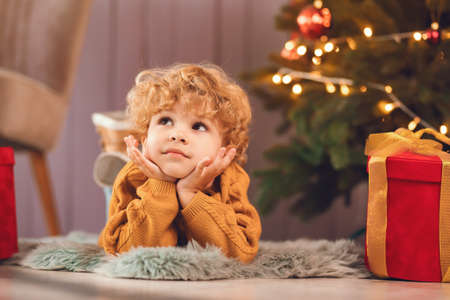 Little boy near christmas tree in a brown sweaterの写真素材