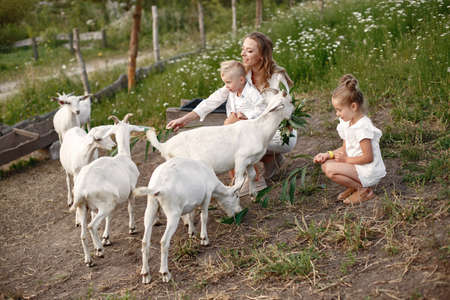 Mother with two children goats kids in the park.の写真素材