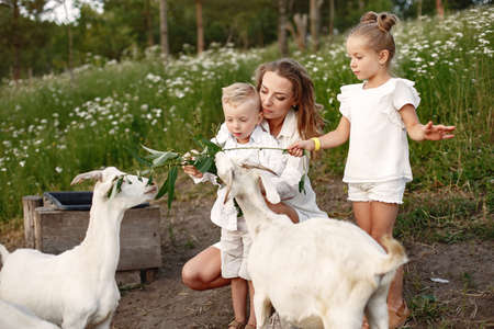 Mother with two children goats kids in the park.の写真素材