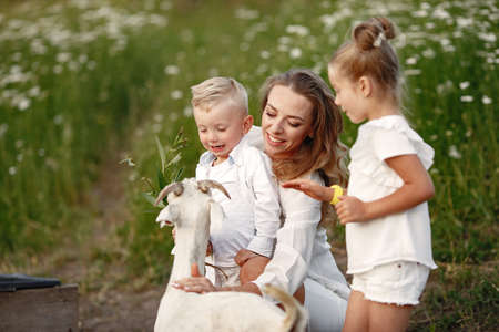 Mother with two children feeds goat in the park.の写真素材