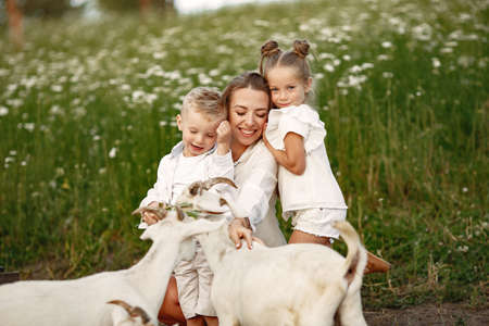 Mother with two children goats kids in the park.の写真素材