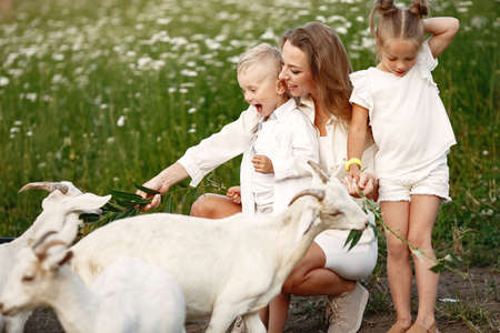 Mother with two children goats kids in the park.の写真素材