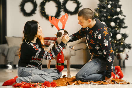 Cute couple sitting at home near christmas treeの写真素材