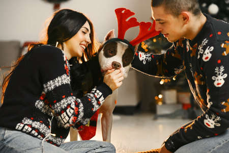Cute couple sitting at home near christmas treeの写真素材