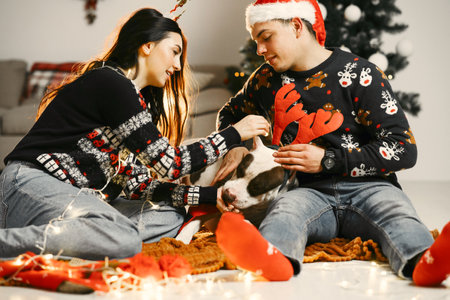 Cute couple sitting at home near christmas treeの写真素材