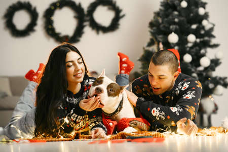 Cute couple sitting at home near christmas treeの写真素材