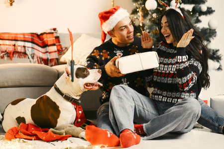 Cute couple sitting at home near christmas treeの写真素材