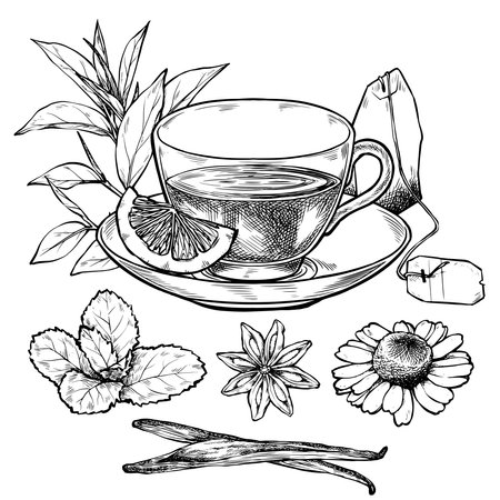 Cozy cups and mugs with hot tea. Ink style illustration, hand drawn, line art drawing, illustration set for cafe or restaurant menu.のイラスト素材