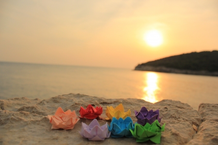 floral sunsetの写真素材