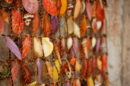 Spectaculous shells net sideviewの写真素材