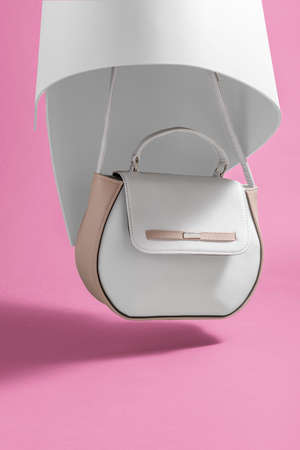 Leather bag art. Fashionable female fashion product. Study.の写真素材