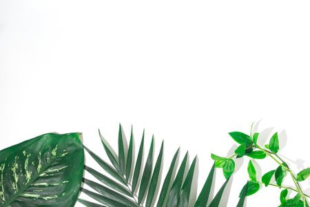 green plants background for summerの写真素材