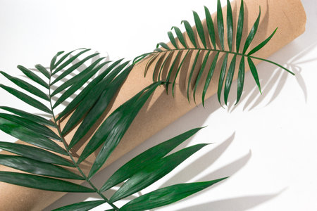 green plants background for summerの写真素材