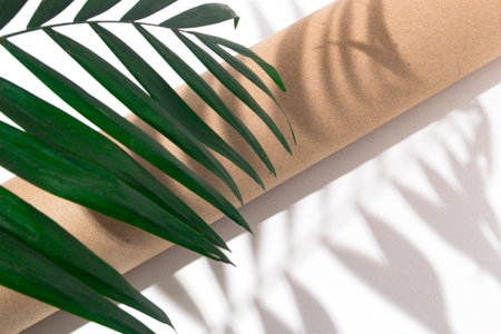 green plants background for summerの写真素材