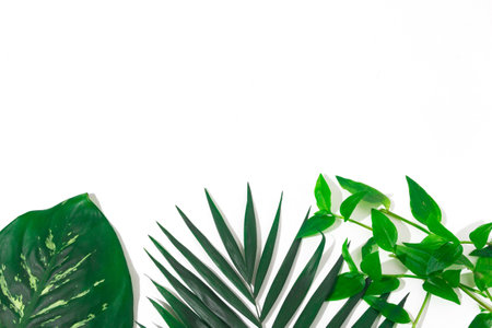 green plants background for summerの写真素材