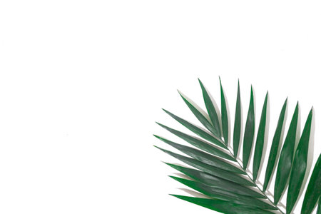 green plants background for summer