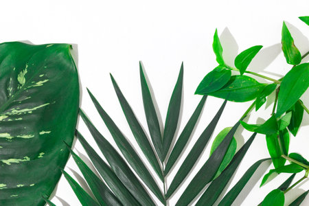 green plants background for summerの写真素材