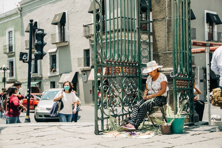 Artisans sell palm figures during the Palm Sunday celebration outside the Puebla Cathedralのeditorial素材
