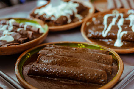 Wrapped with Mole from San Lucas Atzala, Puebla with red corn tortillaの写真素材