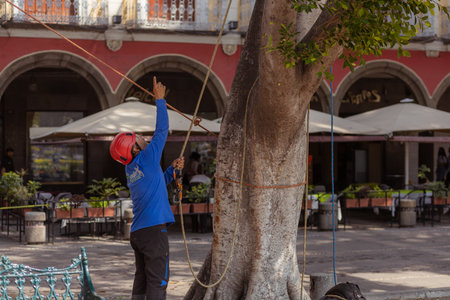 Unidentified man cleaning the streets of Cartagena, Colombiaのeditorial素材