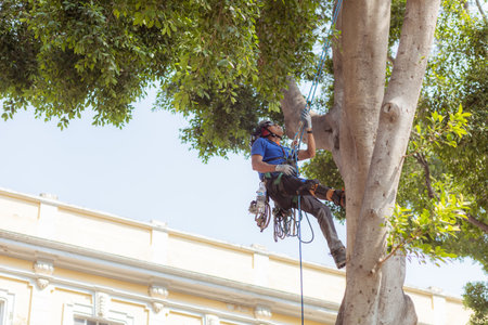 Unidentified man cleaning the streets of Cartagena, Colombiaのeditorial素材
