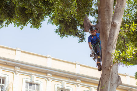Unidentified man cleaning the streets of Cartagena, Colombiaのeditorial素材