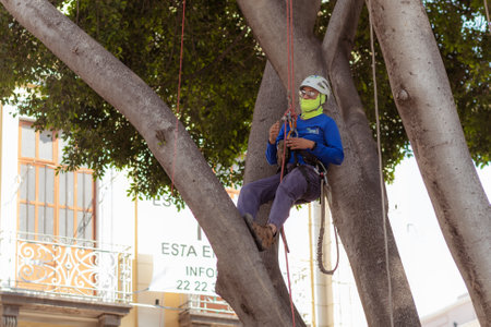 Unidentified man cleaning the streets of Cartagena, Colombiaのeditorial素材