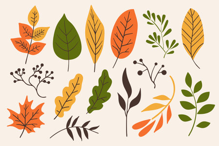Set of different autumn leaves and twigs on doodle style isolated on white background. Minimal hand drawn design element collectionのイラスト素材
