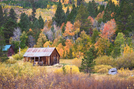 Rustic barn with fall colors in Hope Valley, Californiaの写真素材