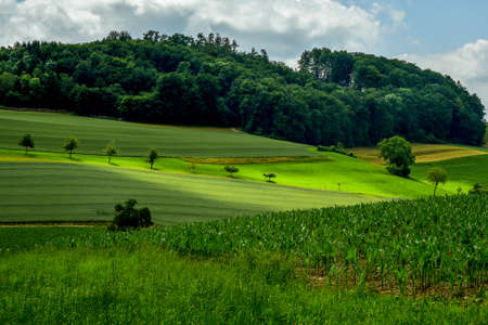 Landscape scene with agricultural field, trees, sky and clouds.の写真素材