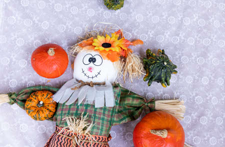Scarecrow, pumpkin to celebrate halloween and thanksgiving. Harvest and fall concept.の写真素材
