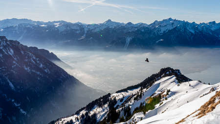 Winter landscape of snow covered mountains with fog in sunset. Rochers de Naye in Switzerland. Tranquility and beauty in nature.の写真素材