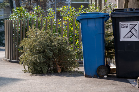 Lausanne, Vaud, Switzerland - 07.01.2021:Abandoned Christmas trees on the pavement beside garbage bin after the holidays. Ecology and waste concept.のeditorial素材