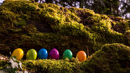 Easter eggs on the grass. Six colorful eggs on the moss. Background and copy space.の写真素材