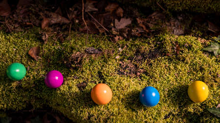 Easter eggs on the grass. Six colorful eggs on the moss. Background and copy space.