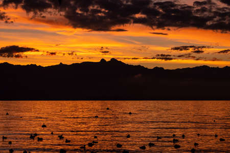 Sunset over sea. Dramatic sky with silhouettes of mountain and resting birds. Lausanne, Switzerland. Beauty in nature and tranquil scene.の写真素材