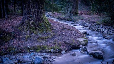 Water flowing over rocks. Beauty in nature. Long exposure. Lausanne, Switzerland. Tranqil scene.の写真素材