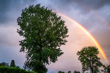 Double colorful rainbows over green trees. Beauty in nature. Tranquil scene.の写真素材