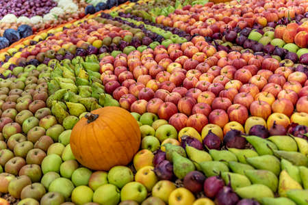 Assortment of fresh fruit and vegetable at market. Autumn harvest. Color and background.の写真素材