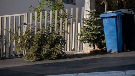 Abandoned Christmas trees in the street beside garbage bin after the holidays. Ecology, waste and environment concept.の写真素材