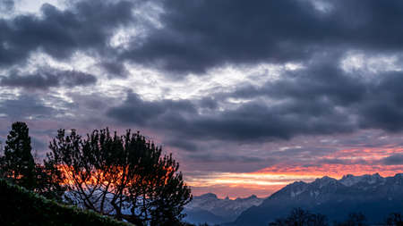 Sunrise over the mountains. Dramatic sky with green tree in summer. Lausanne, Switzerland. Tranquil...