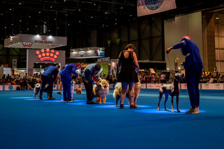 Geneva, Geneva Canton, Switzerland - 27 August, 2023: Handler presenting dog during World dog show.のeditorial素材